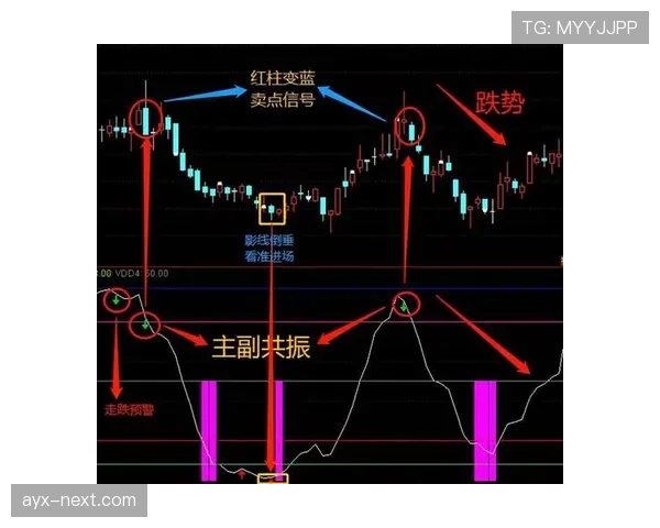 底线发球规则详解与常见实战应用场景分析